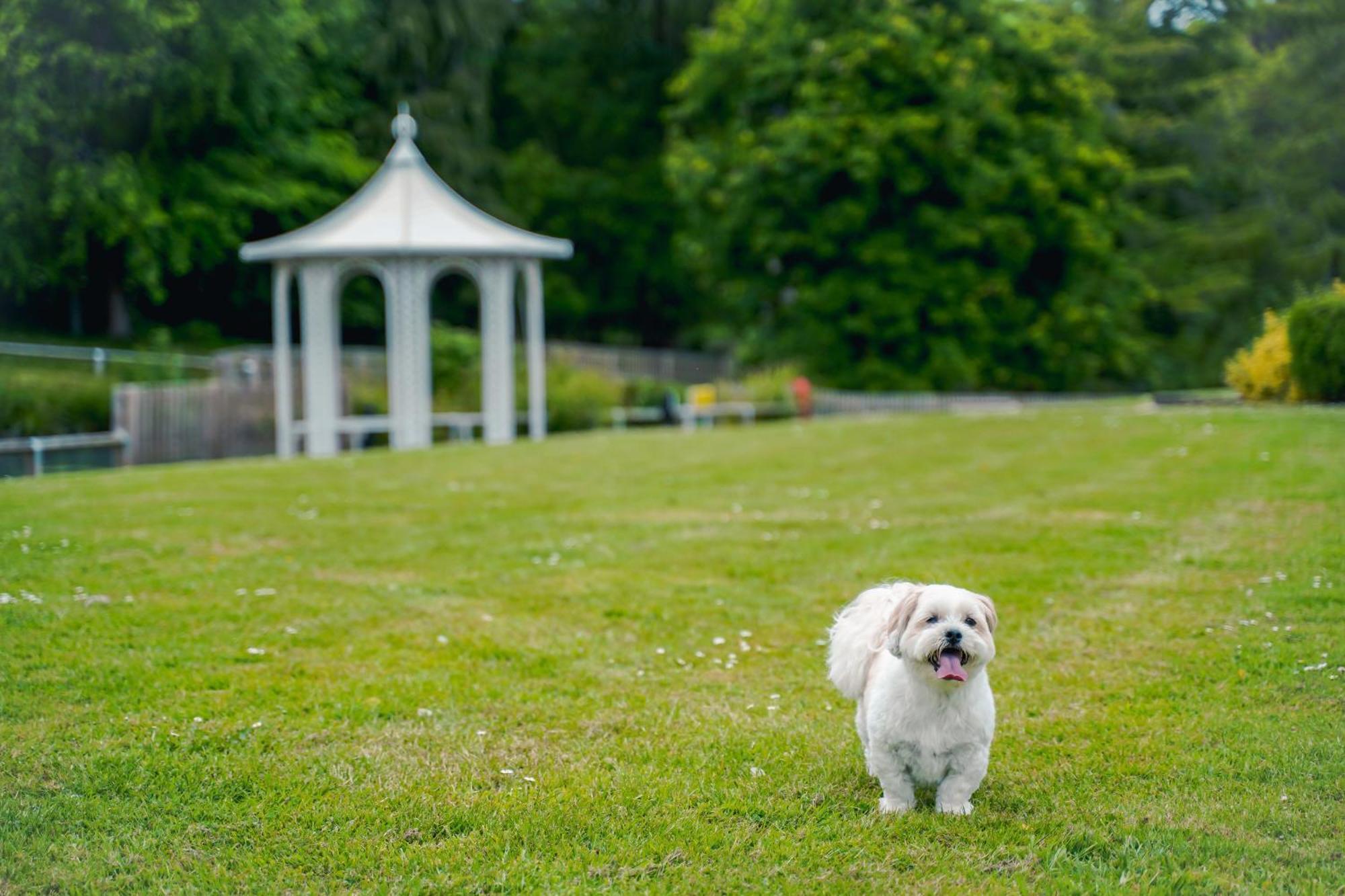Doubletree By Hilton Cheltenham-Cotswolds Ngoại thất bức ảnh